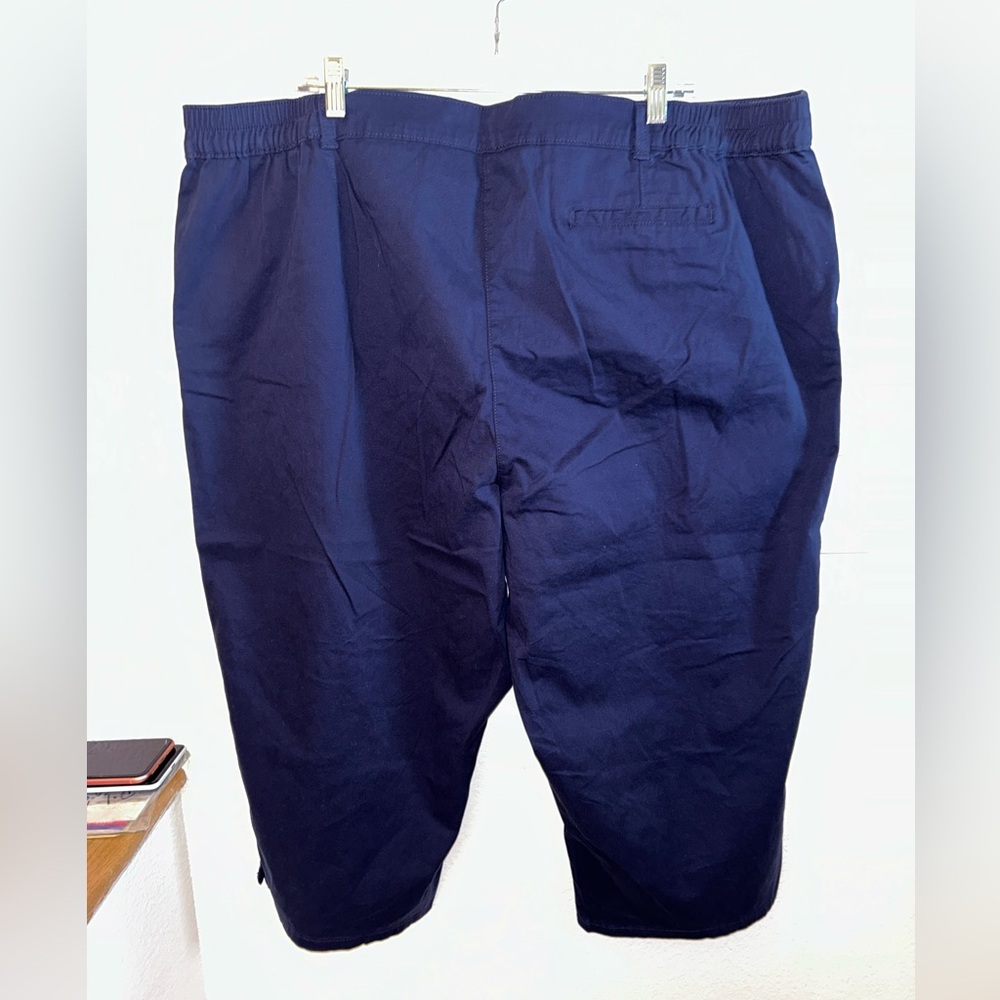 Plus Size Capris - Picture 2 of 3